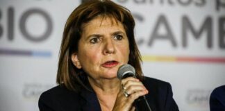 Patricia Bullrich net worth