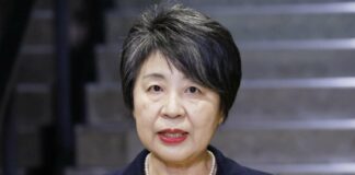 Yōko Kamikawa net worth