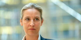 Alice Weidel net worth